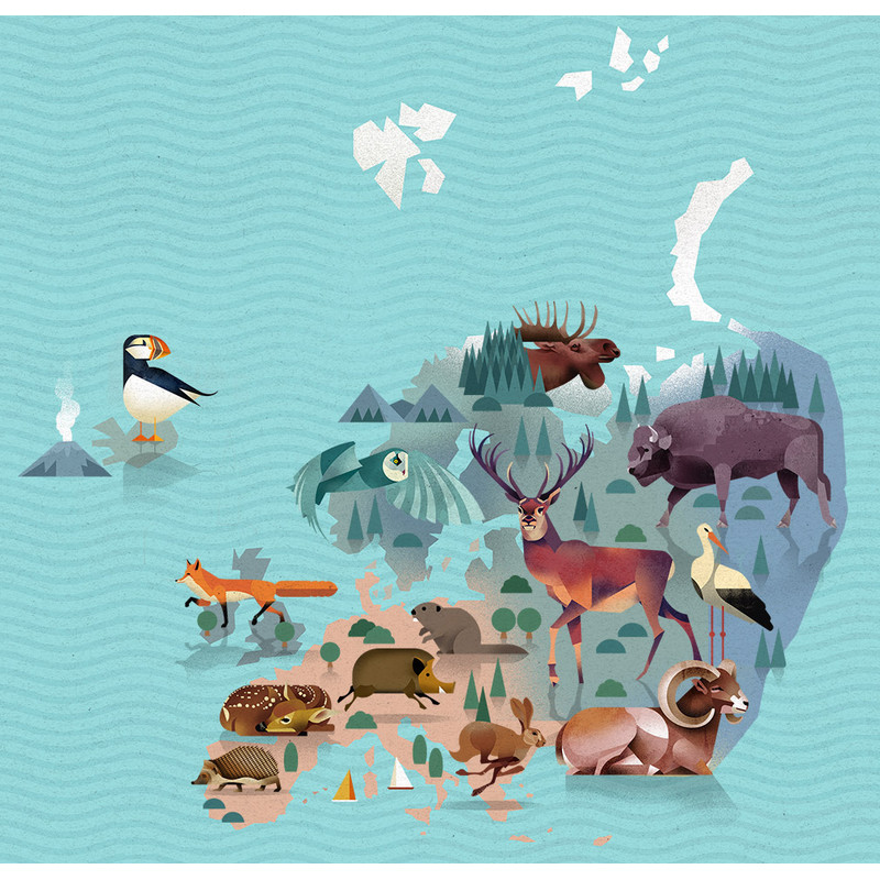 Marmota Maps Mapa mundial World of Animals