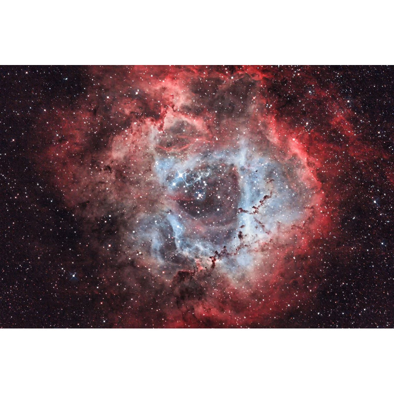 OPT Filtro de banda estreita Triad Ultra Quad-Band 2"