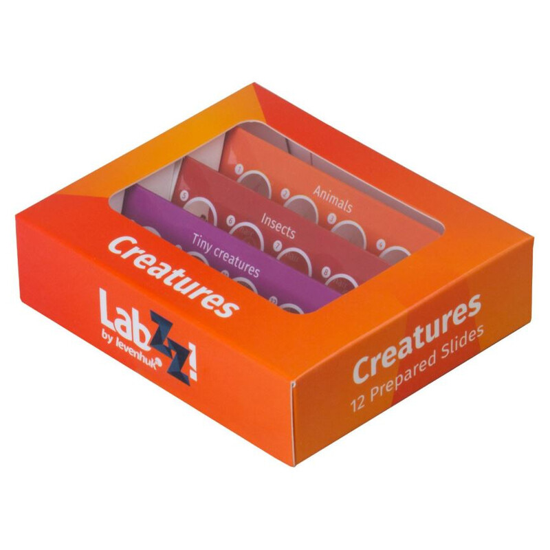 Levenhuk Conjunto de preparação permanente C12