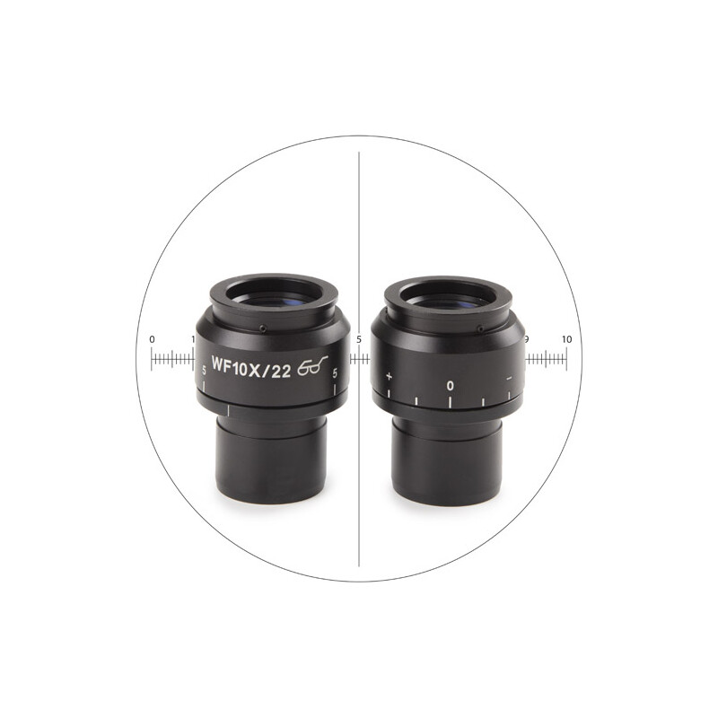 Euromex Ocular de medição NZ.6210-CM, 10x/22 mm SWF, micrómetro, mira, (Nexius EVO)