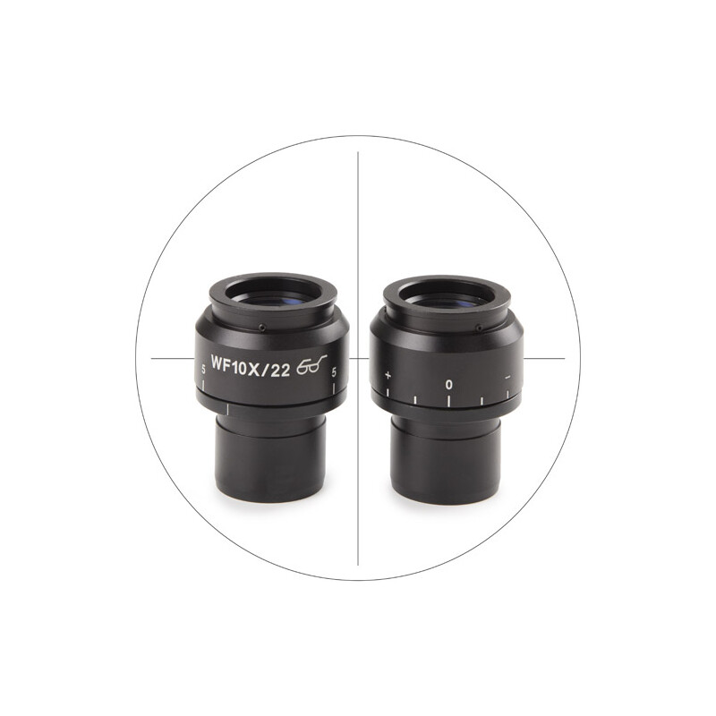 Euromex Ocular Micrométrica NZ.6210-C, 10x/22 mm SWF, mira (Nexius EVO)