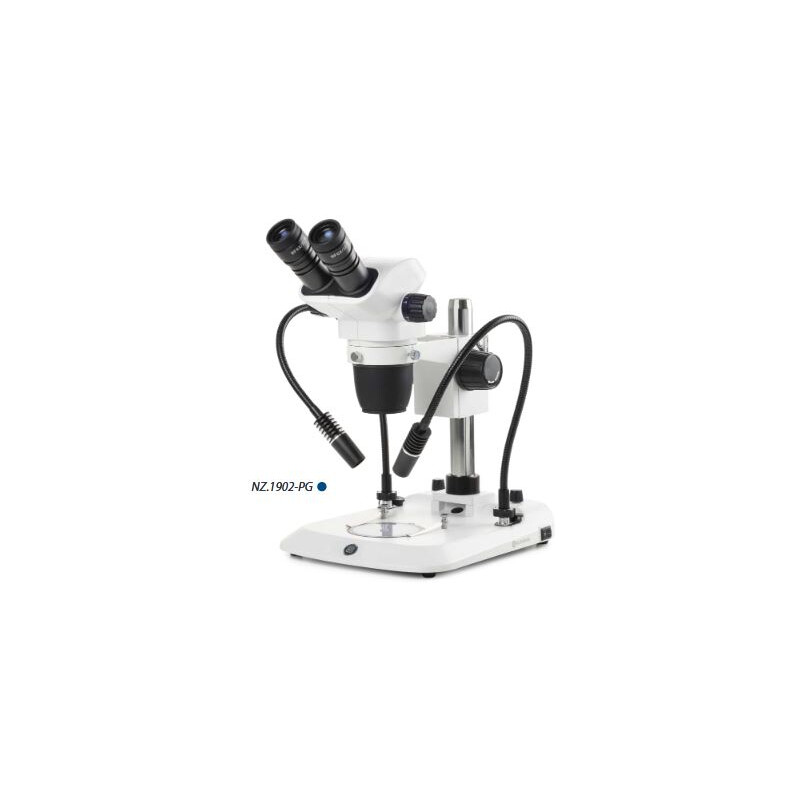 Euromex Microscópio estéreo zoom NZ.1702-PG, 6,5-55x, Coluna, 2 Pescoços de cisne, Luz trasmitida, bino
