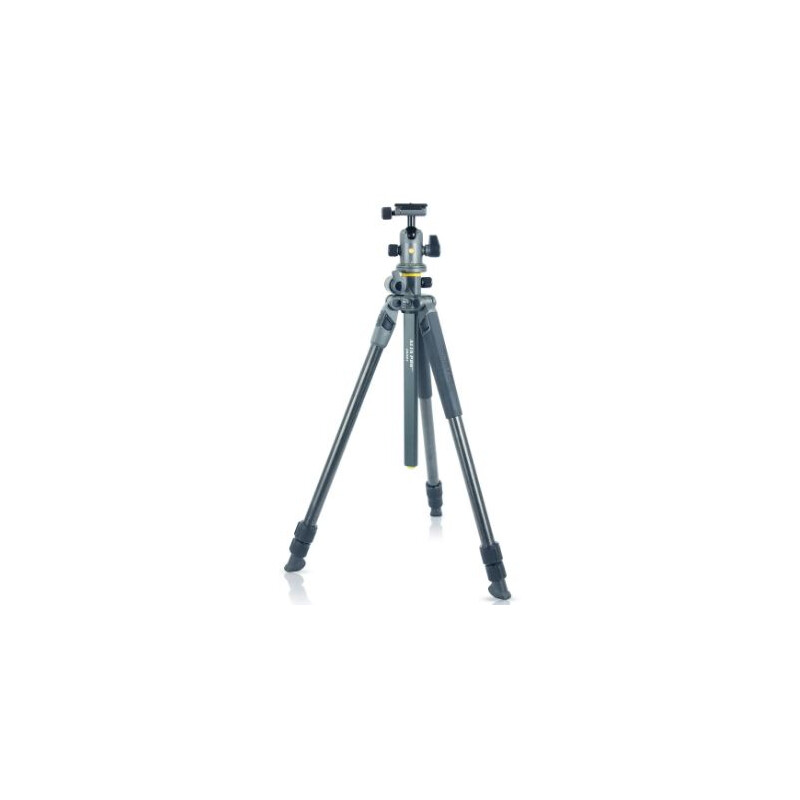 Vanguard Tripé de carbono Alta Pro 2+ 263CB 100