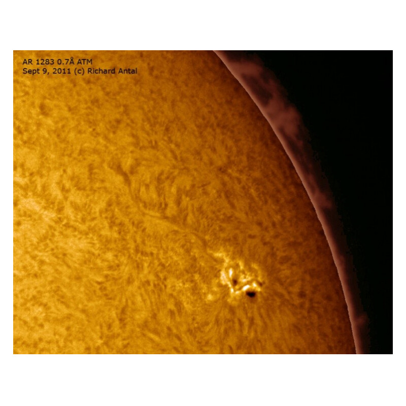 DayStar Telescópio solar ST 127/1462 SR Carbon OTA