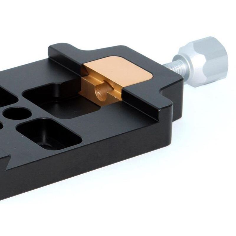 TS Optics Trava em prisma Premium Losmandy-Style