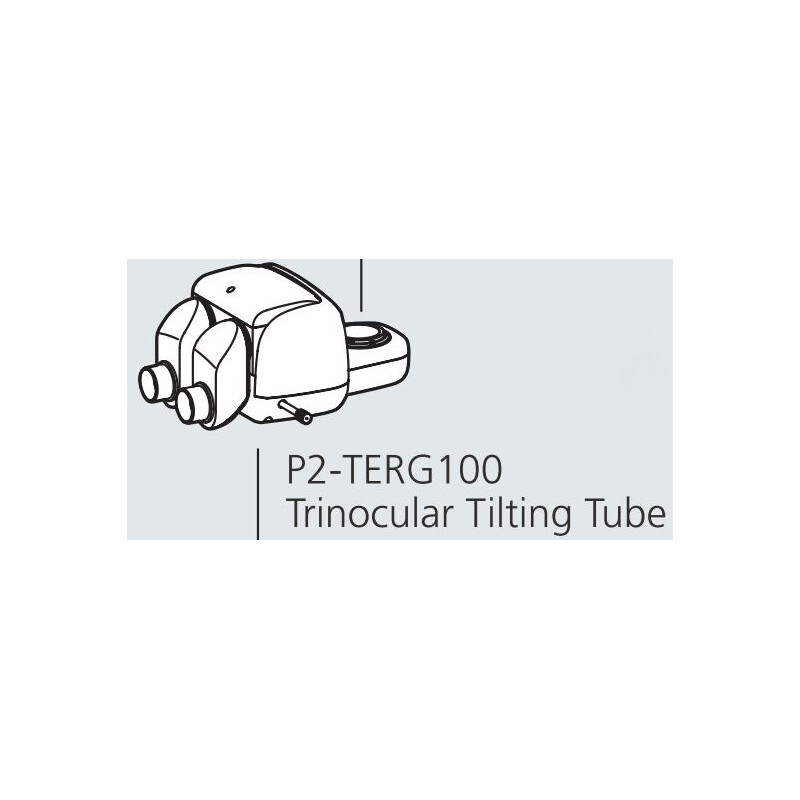 Nikon Cabeça estereoscópica P2-TERG 100 trino ergo tube (100/0 : 0/100), 0-30°