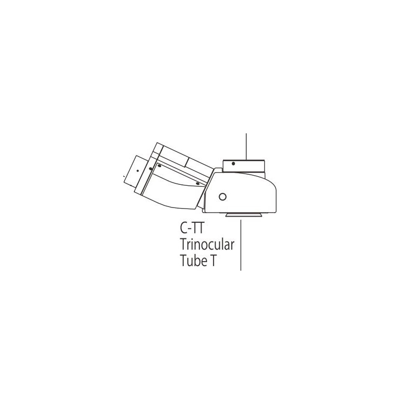 Nikon Tubo Trinocular C-TT T