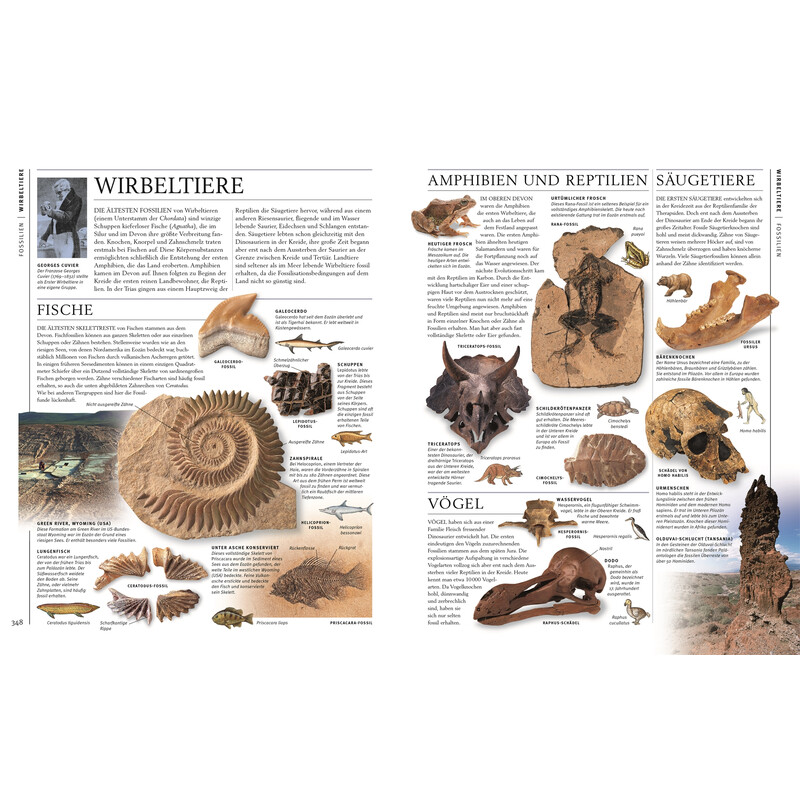 Dorling Kindersley Steiner & Minerals