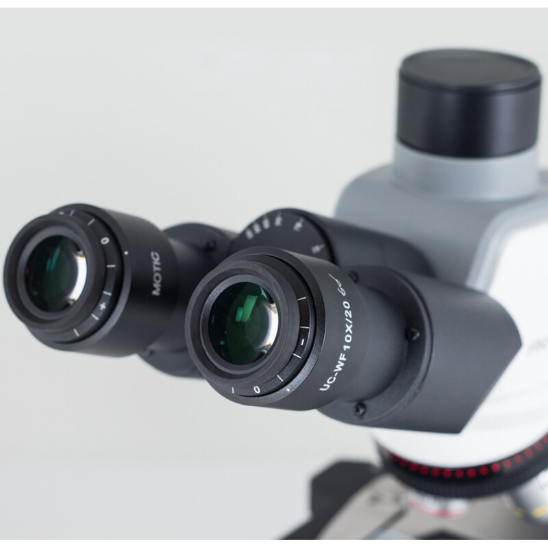 Motic Microscópio Panthera E2, Trinokular, HF, Infinity, plan achro., 40x-1000x, fixed Koehl.LED