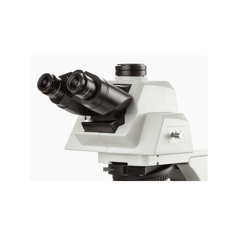 Euromex Microscópio Delphi-X, DX.2158-APLi, trino, 40x - 1000x, Plano acromático, com cabeça ergonómica e iluminador de halogéneo de 100W. cabeça e Iluminação de halogéneo de 100W