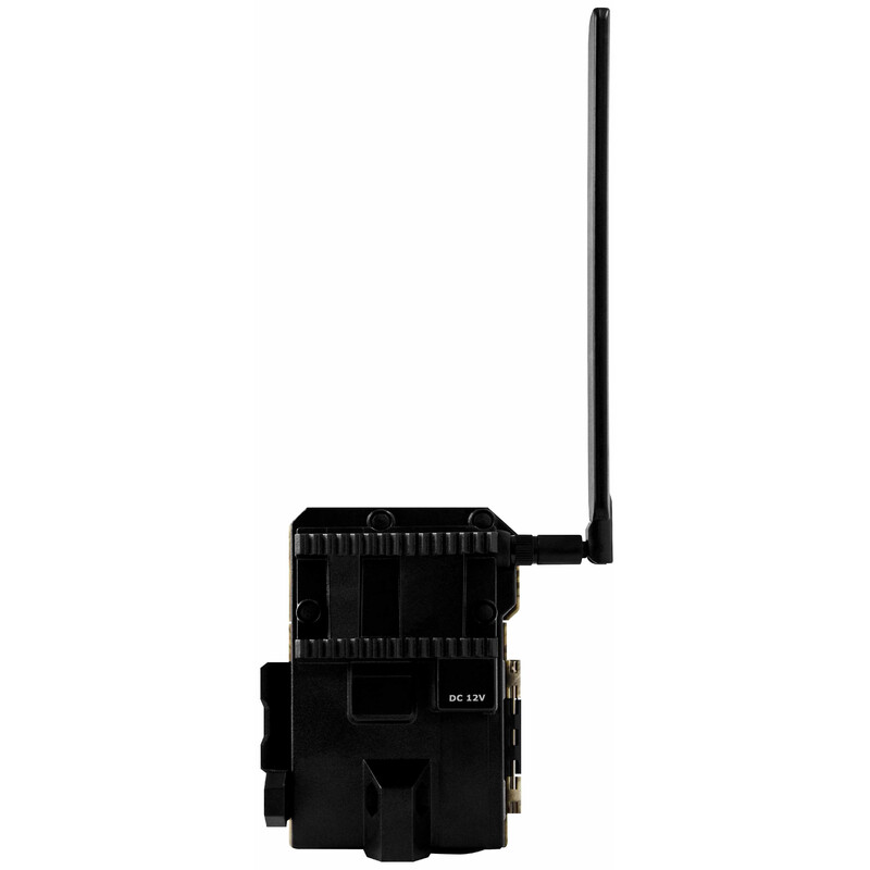 Spypoint Câmera foto selvagem Link-Micro-LTE