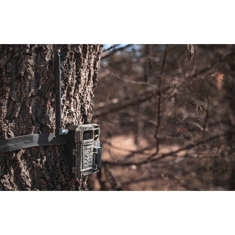 Spypoint Câmera foto selvagem Link-Micro-LTE