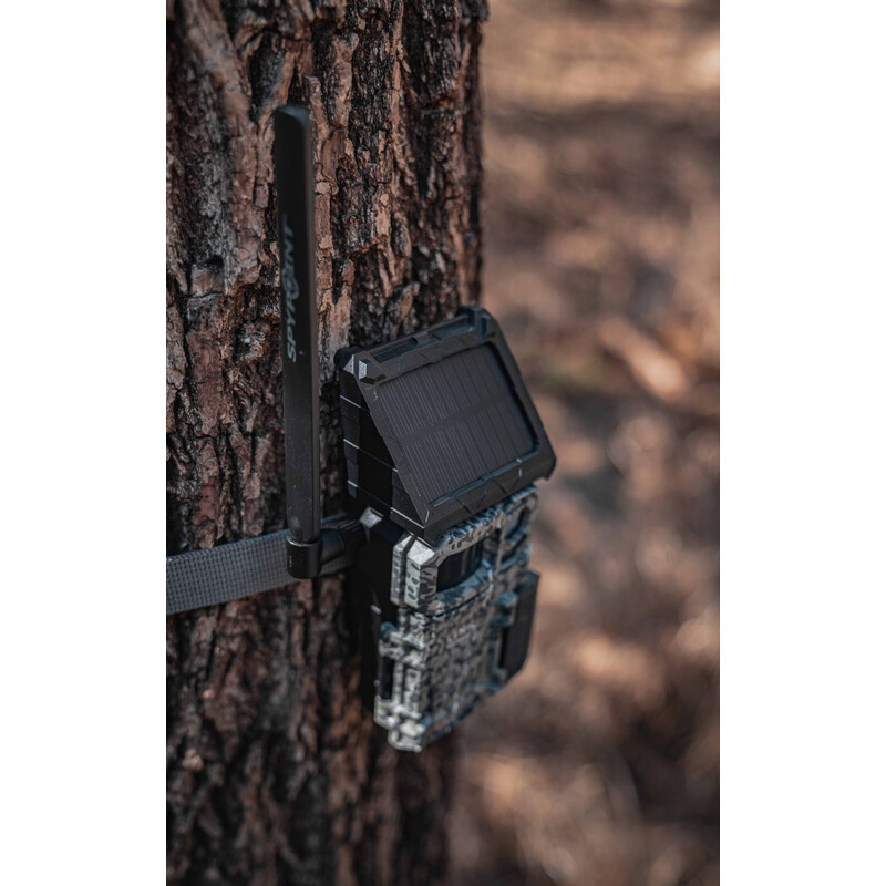 Spypoint Câmera foto selvagem Link-Micro-S LTE