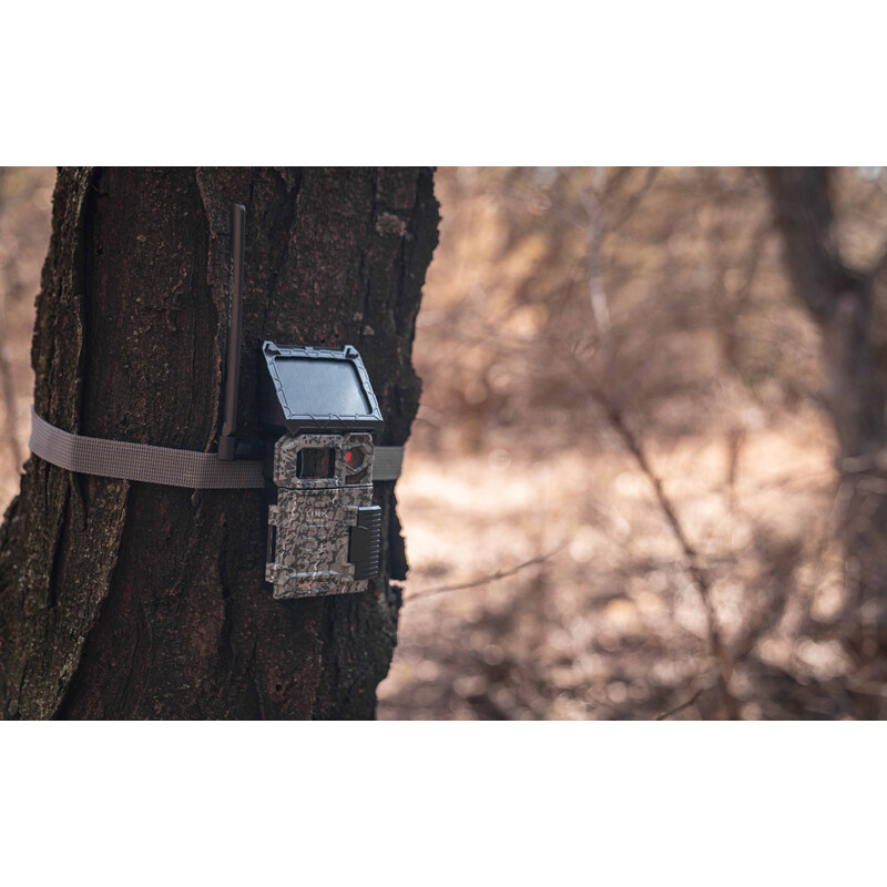 Spypoint Câmera foto selvagem Link-Micro-S LTE