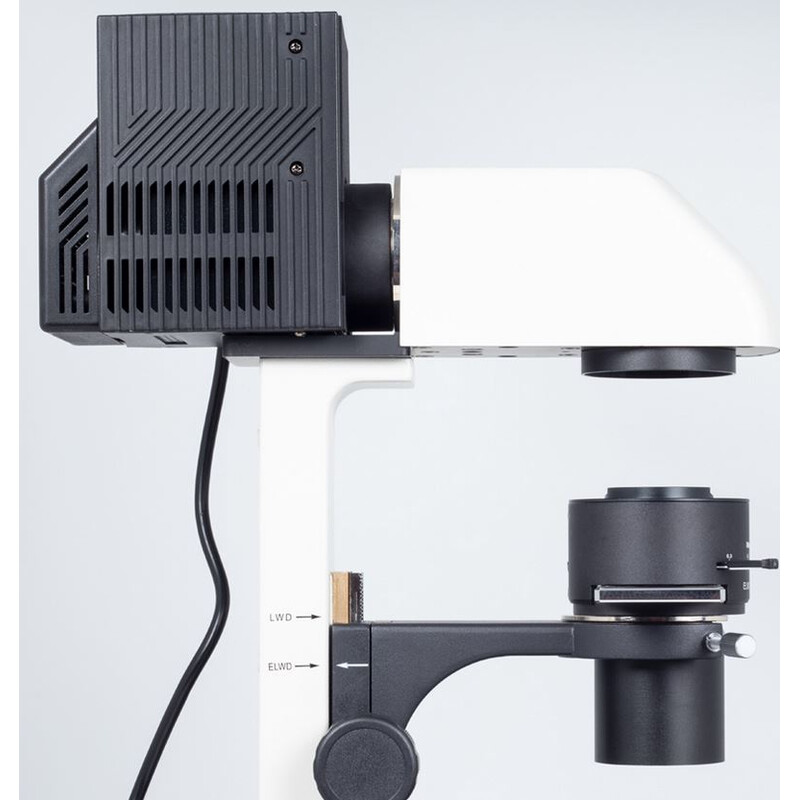 Motic Microscópio invertido AE31E trino, infinity, CCIS Plan 4x LWD, Ph10x/20x40x, 100W Hal