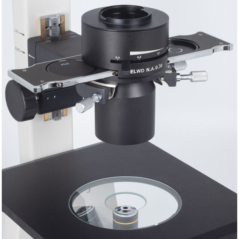 Motic Microscópio invertido AE31E trino, infinity, CCIS Plan 4x LWD, Ph10x/20x40x, 100W Hal