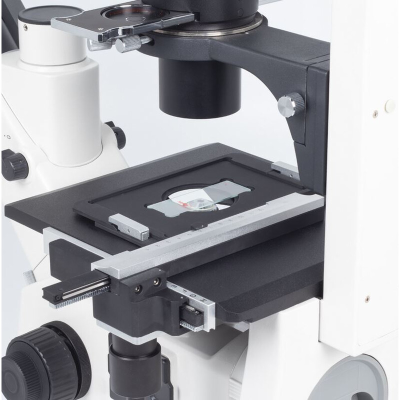 Motic Microscópio invertido AE31E trino, infinity, 40x-400x, phase, Hal, 30W