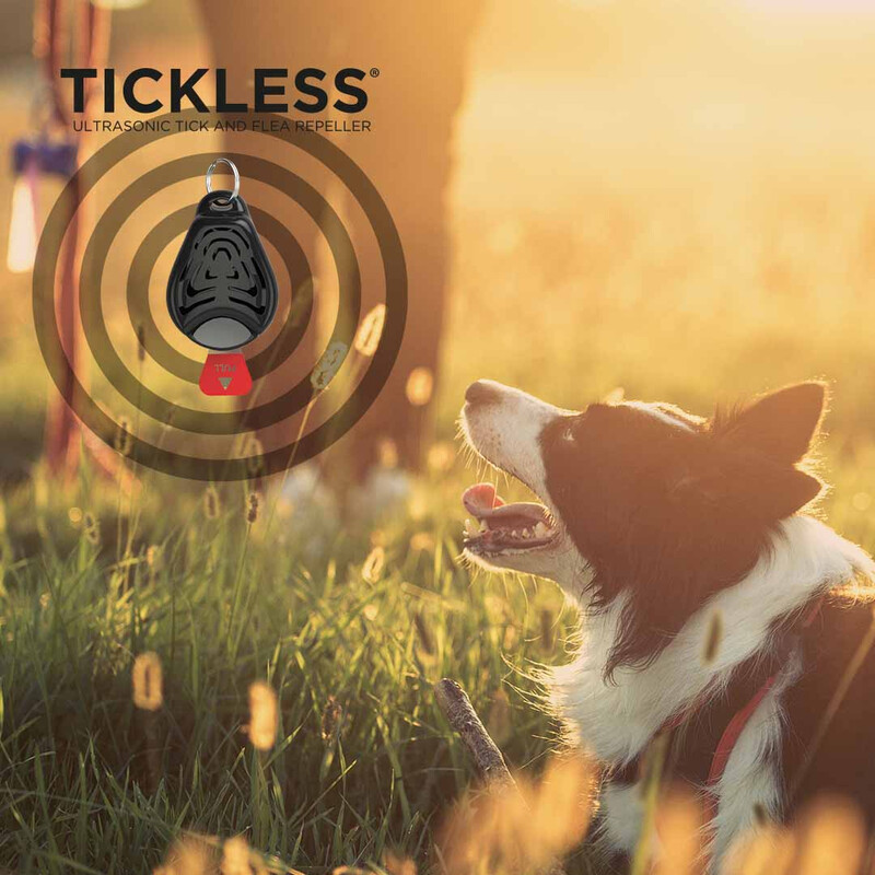 Tickless Animal de estimação