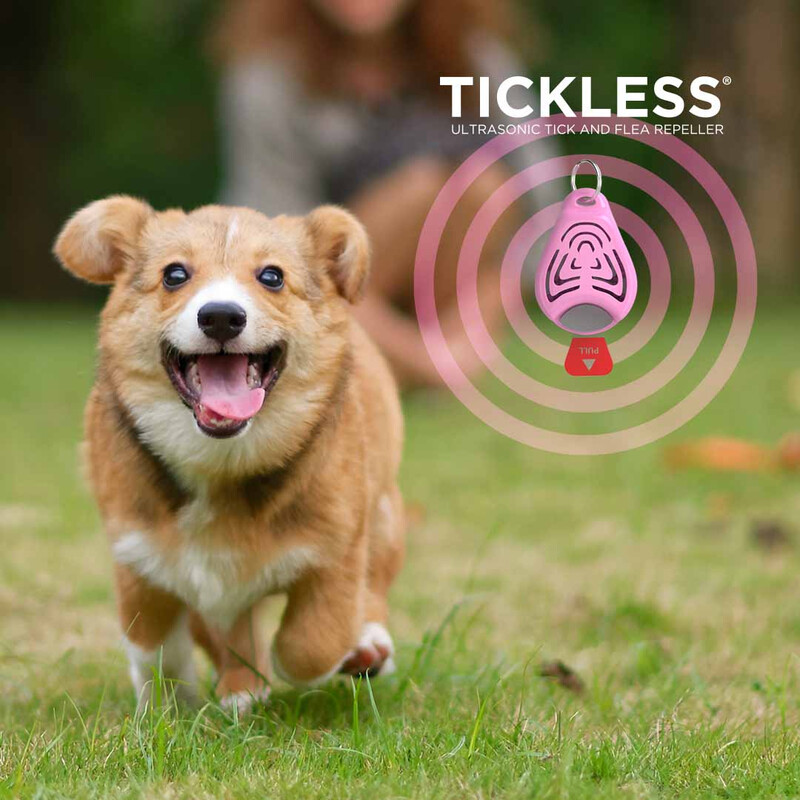 Tickless Animal de estimação