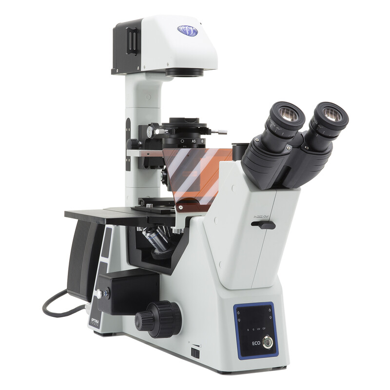 Optika Microscópio IM-5FLD-EU, trino, invertido, FL-LED, sem objectivas, UE