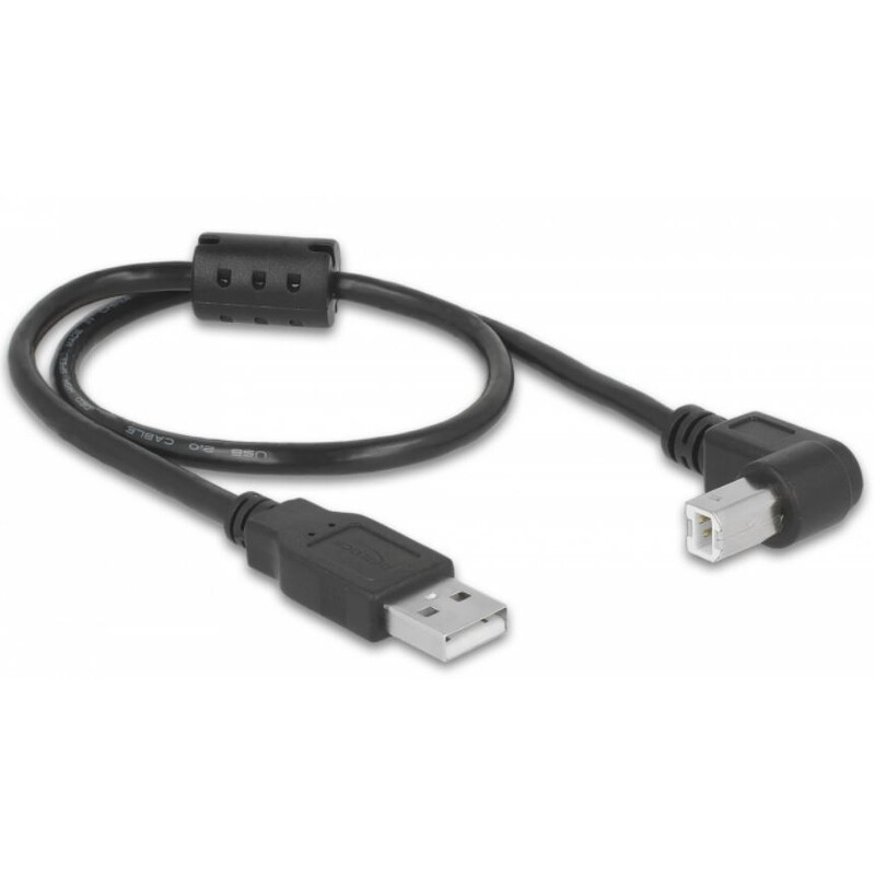 PegasusAstro Conjunto de cabos USB 2x USB2.0 Tipo B 50cm