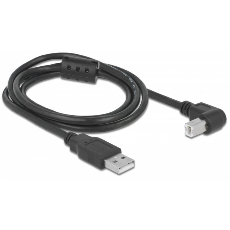 PegasusAstro Conjunto de cabos USB 2x USB2.0 Tipo B 1m