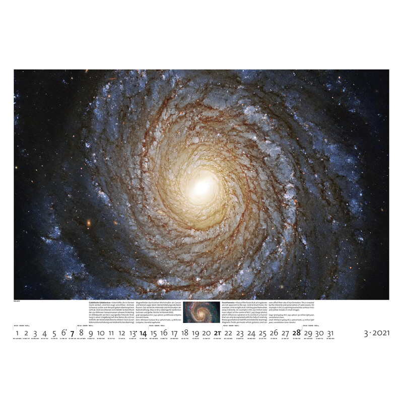 Palazzi Verlag Calendário Sternzeit 2021