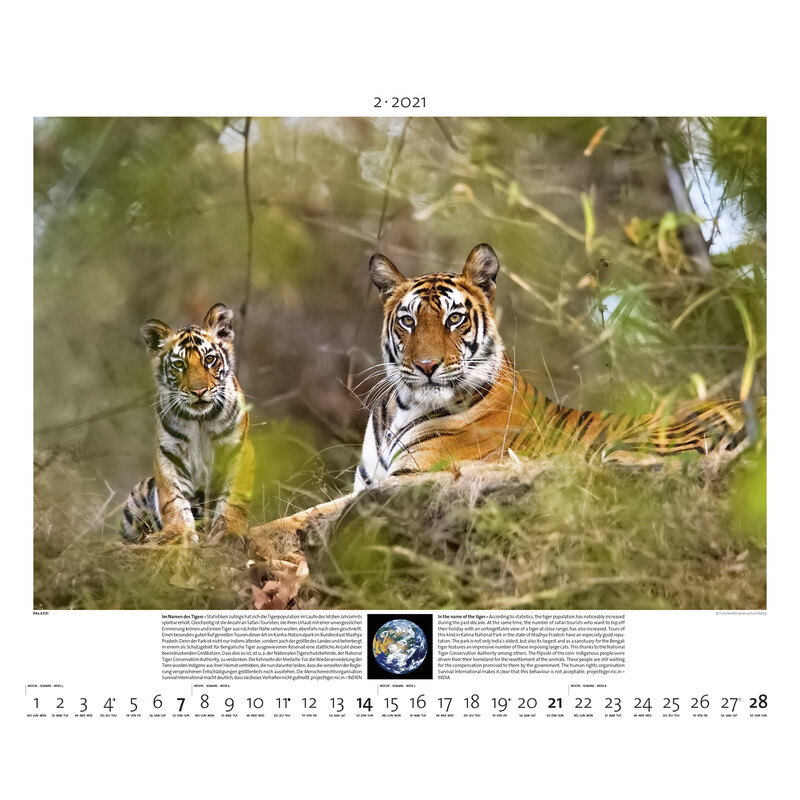 Palazzi Verlag Calendário Planet Erde 2021