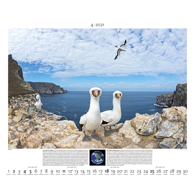 Palazzi Verlag Calendário Planet Erde 2021