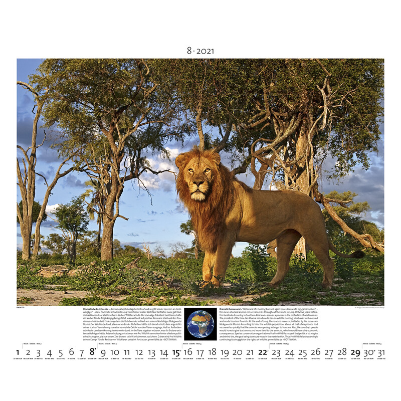 Palazzi Verlag Calendário Planet Erde 2021