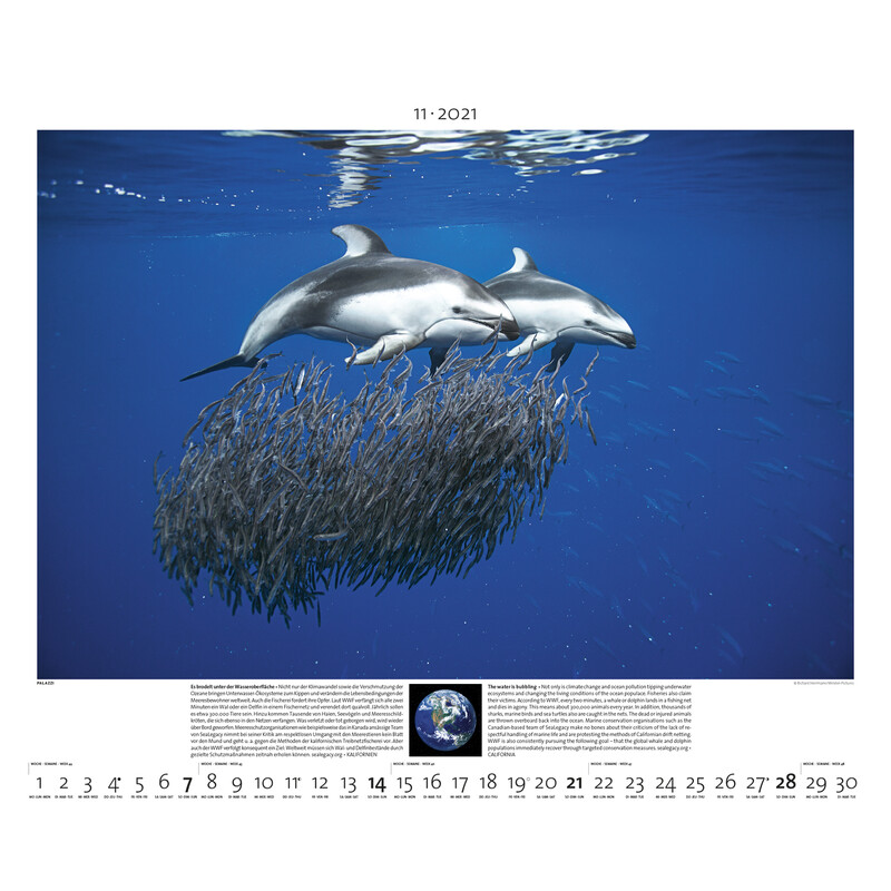 Palazzi Verlag Calendário Planet Erde 2021
