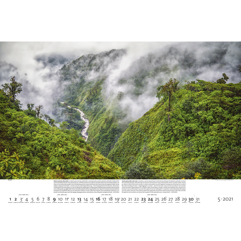 Palazzi Verlag Calendário Florestas da Terra 2021