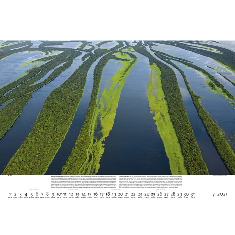 Palazzi Verlag Calendário Florestas da Terra 2021