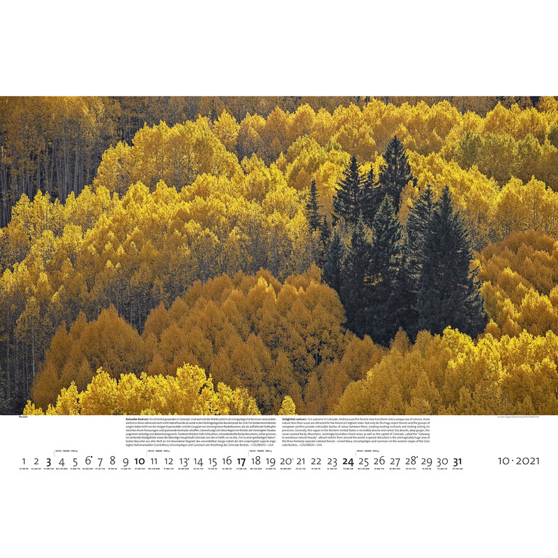 Palazzi Verlag Calendário Florestas da Terra 2021