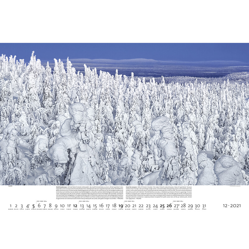 Palazzi Verlag Calendário Florestas da Terra 2021