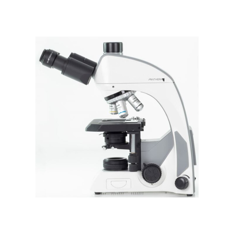 Motic Microscópio Panthera C, trino, infinito, plano, achro, 40x-1000x, halogen
