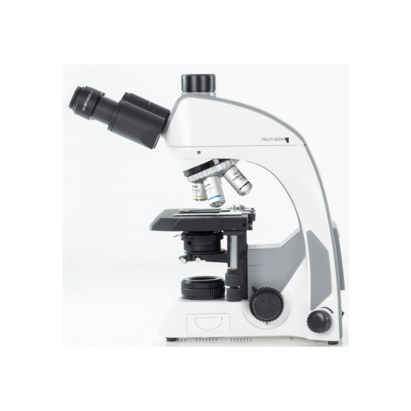 Motic Microscópio Panthera C, trino, infinity, plan, achro, 40x-1000x, Halogen