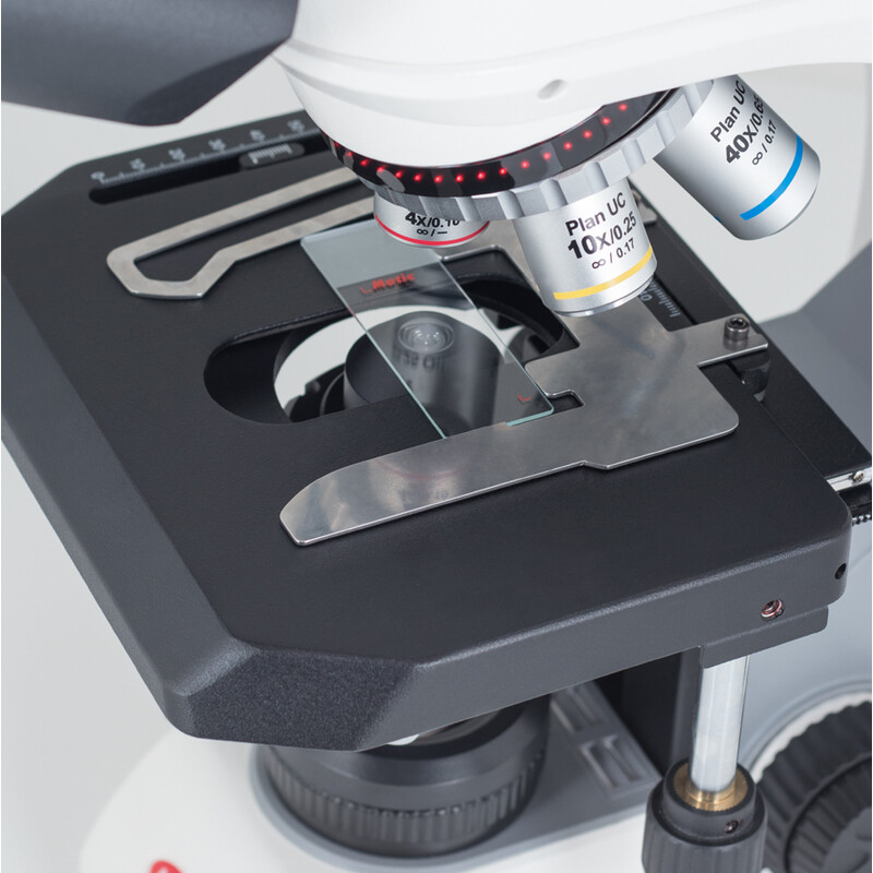 Motic Microscópio Panthera C2, bino, infinito, plano, achro, 40x-1000x, Halogen/LED