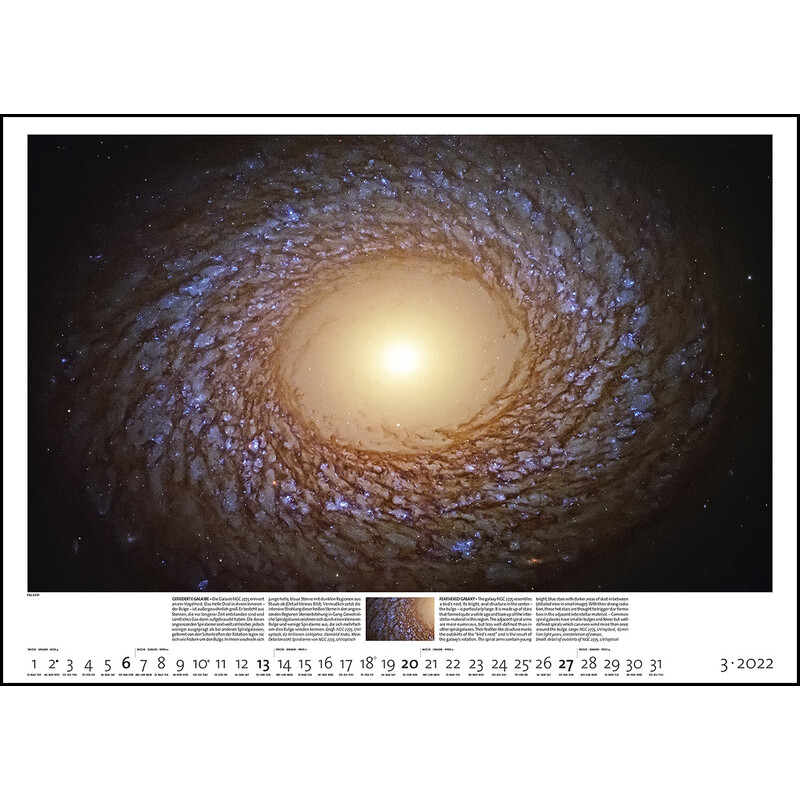 Palazzi Verlag Calendário Sternzeit 2022