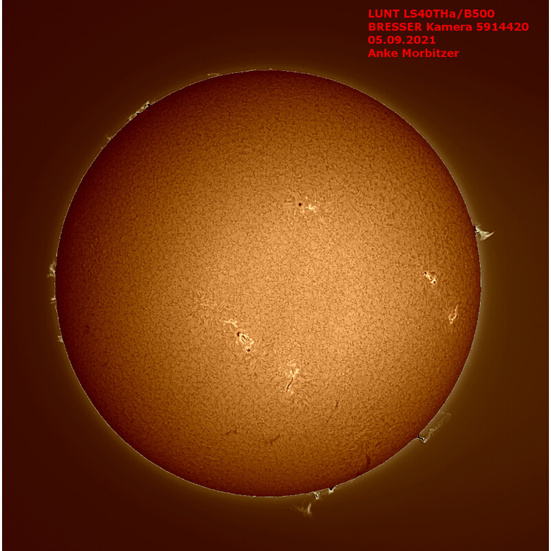 Lunt Solar Systems Telescópio solar ST 40/400 LS40T Ha B500
