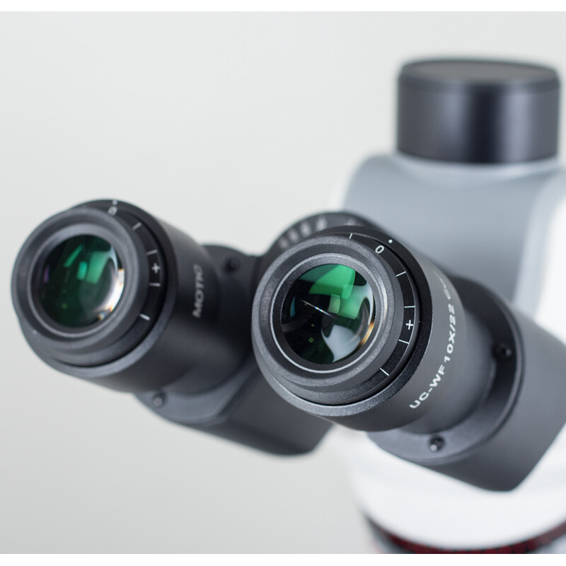 Motic Microscópio Panthera C2 Triocular, infinito, plano, achro, 40x-1000x, 10x/22mm, Halogen/LED