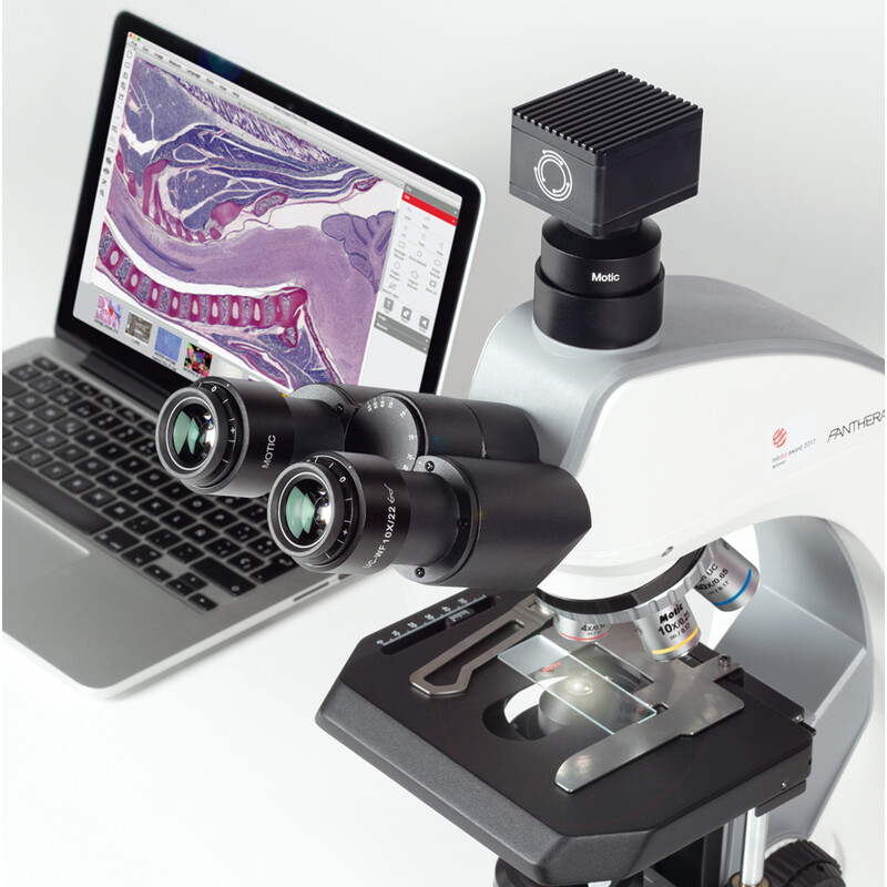 Motic Microscópio Panthera C2 Triocular, infinito, plano, achro, 40x-1000x, 10x/22mm, Halogen/LED