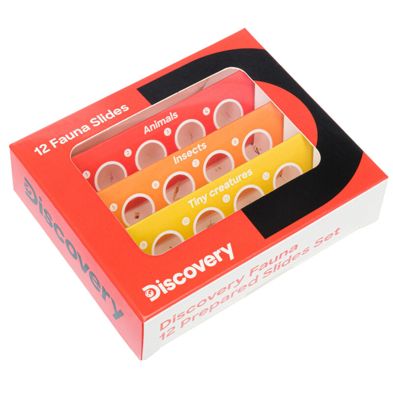Discovery Fauna 12 Lâminas preparadas para microscópio