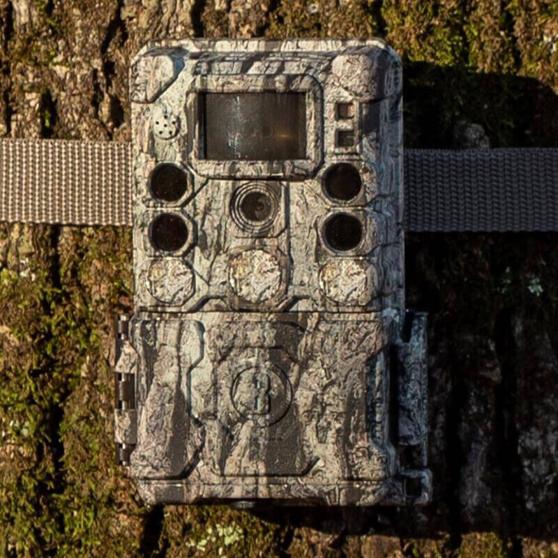 Bushnell Câmera foto selvagem 30MP CORE 4KS Camuflagem de casca de árvore sem brilho, caixa 5L