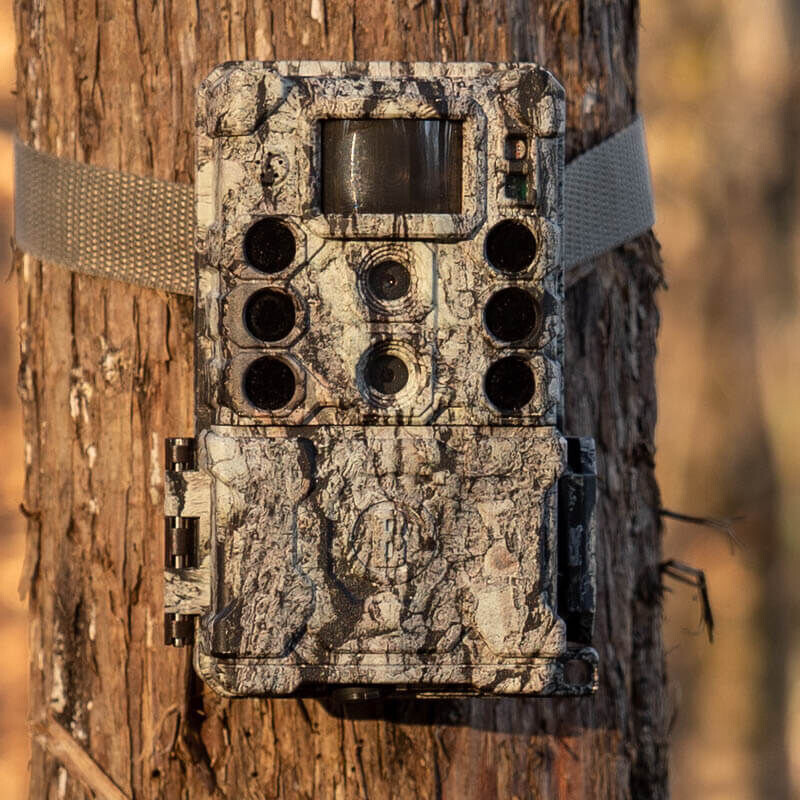 Bushnell Câmera foto selvagem 32MP CORE DS4K Tree Bark Camo No Glow, Caixa 5L