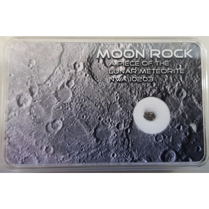 SR-Meteorites Meteoritos lunares genuínos NWA 10203 XS