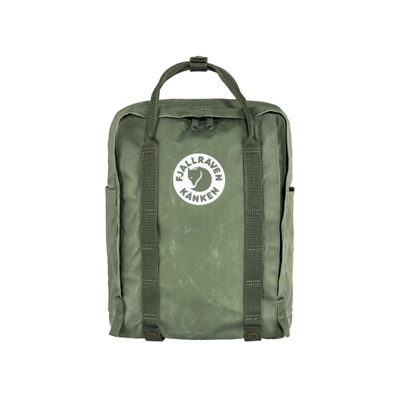 Fjällräven Mochila Tree-Kånken 627 Lichen Green