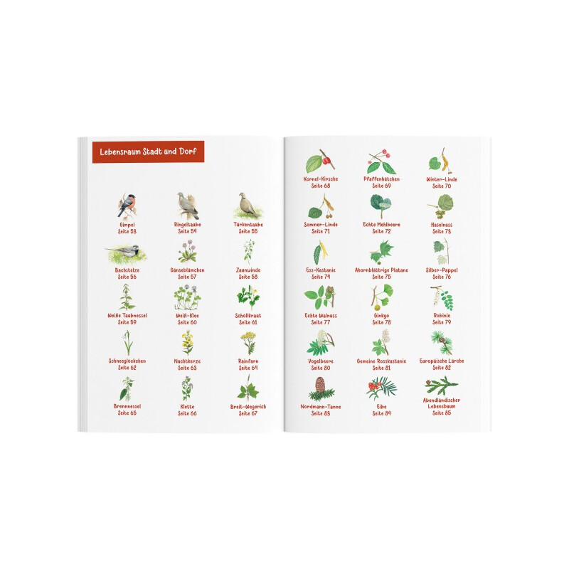 Kosmos Verlag Guia de animais e plantas