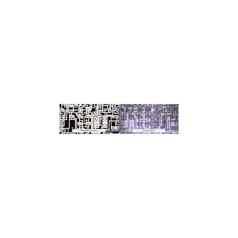 Dino-Lite Microscópio AM73515MT8A, 5MP, 700-900x, 8 LED, 45/20 fps, USB 3.0