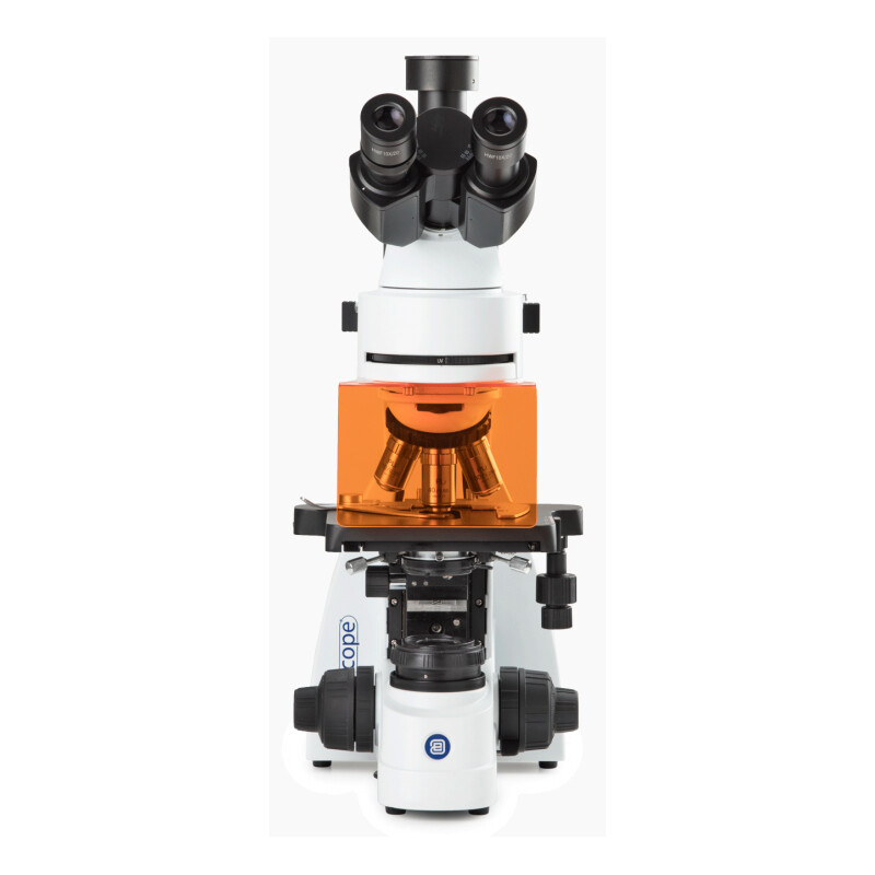 Euromex Microscópio BS.3153-PLFi, trino, 40x-1000x